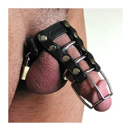 Cage cock ring longue