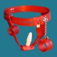 Ceinture de chasteté red Relieving Nature menotte+plug anal