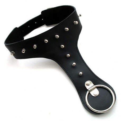 Collier fetish Premium Story of O Collar Studded